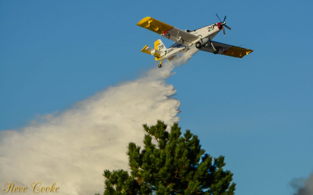 Forest Management 101: Our 2021 Aerial Forest Firefighting Season