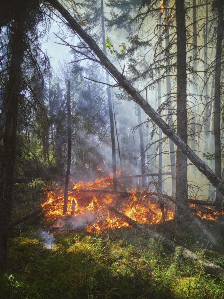 Fire Season in New Brunswick / Saison des incendies au Nouveau-Brunswick