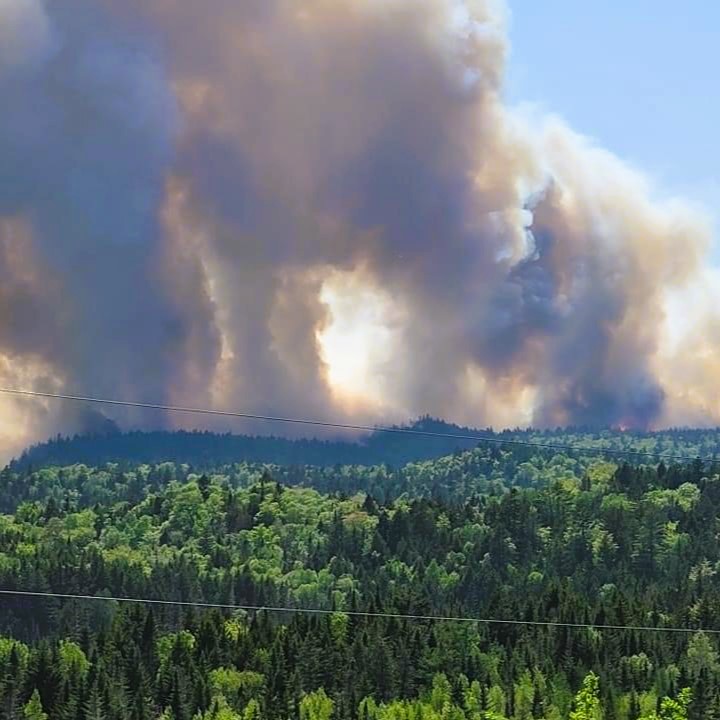 The Perfect Storm: The Escalating Impact on Wildfires and Carbon Output