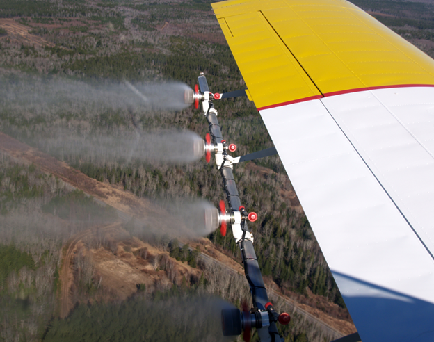 Tackling Spruce Budworm Infestations